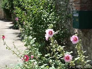 De vieilles pierres et des fleurs