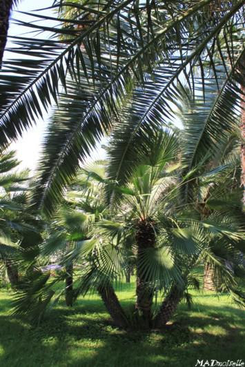 Nice, c'est nice [naïce]