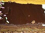 Tarte chocolat crème brûlée café