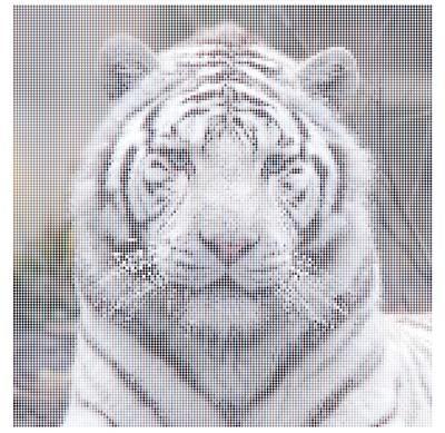 image code html Comment transformer une photo en code HTML facilement