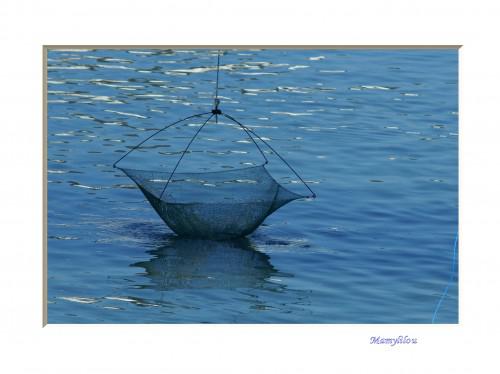 20100622_56 filet de pêche.jpg