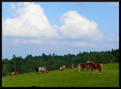 balade en pays merveilleux