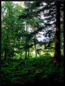 balade en pays merveilleux