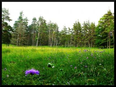 balade en pays merveilleux