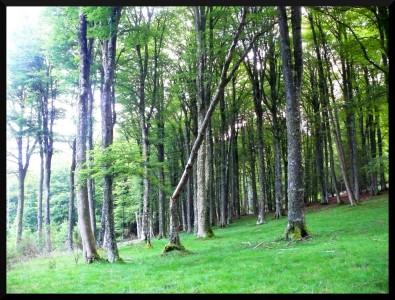 balade en pays merveilleux