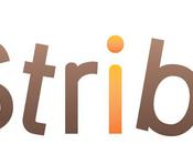 blog Blueboat adopté Stribe