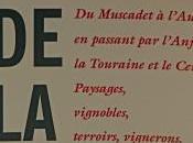 Chemin Vignes passant Loire…