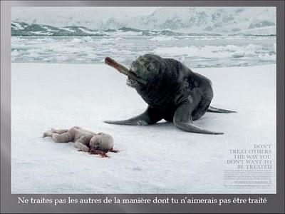 FAUT BIEN VIVRE... ALORS UN PEU DE PUB...