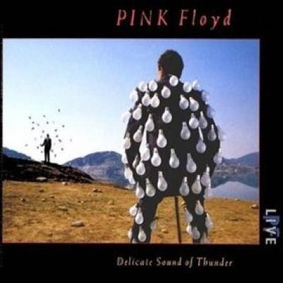 Pink Floyd #5-Delicate Sound Of Thunder-1988