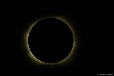 Photos et films de l'éclipse du 11 juillet 2010