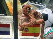 Quel phénomène "Paul"...