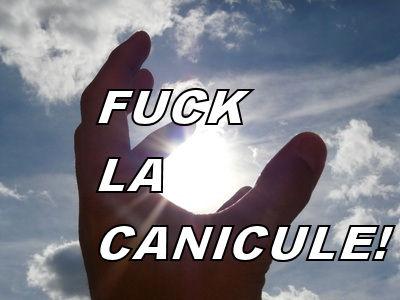 Non! Pas encore une enQnicule au Québec!