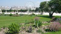 Flânerie royale au jardin des Tuileries