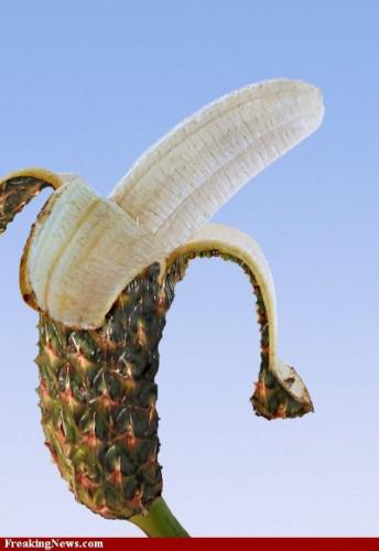 Banana-pineapple--21195.jpg
