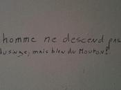 blogues niqab burqa iras prison