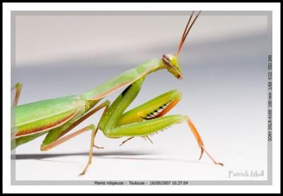 Astuce : mettre en place le plug-in LR/Mogrify 2