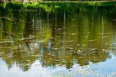 Graffiti sur l'eau