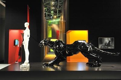 Photo (c) Charly Gallo / CDP