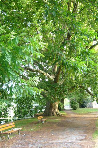 le 14 juillet à Lille.