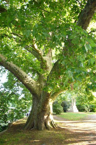 le 14 juillet à Lille.