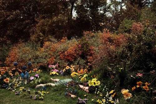 The Fury Of Flowers And Worms, Anne Sexton.

Let the flowers...