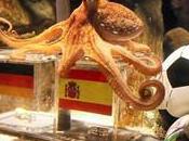 "Paul Poulpe", maintenant l'iPhone...