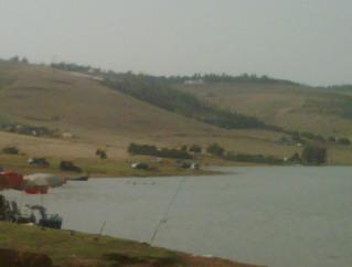 Image and video hosting by TinyPic