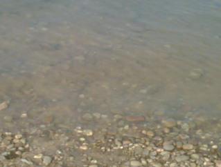 Image and video hosting by TinyPic