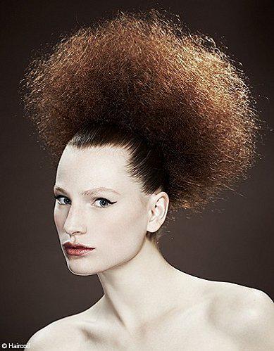 chignon afro reference