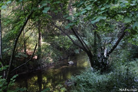 Paysage de randonnée