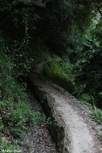 Paysage de randonnée