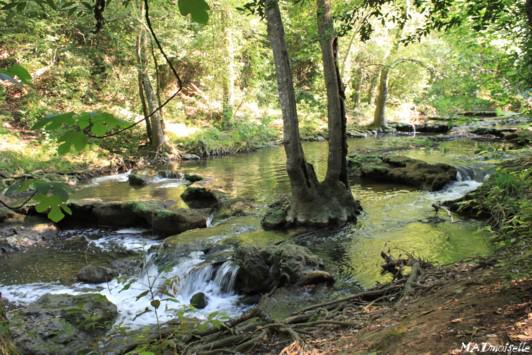 Paysage de randonnée