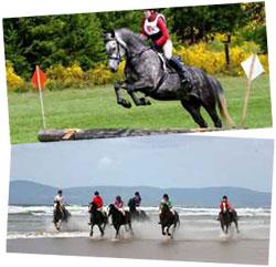 Vacances de cavaliers