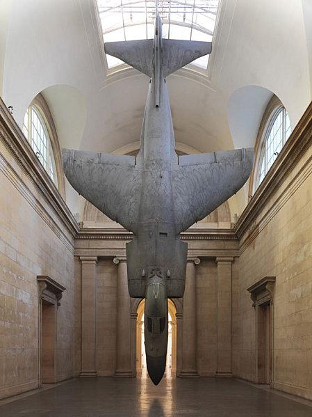 Fiona-Jagger--Harrier--TATE.jpeg