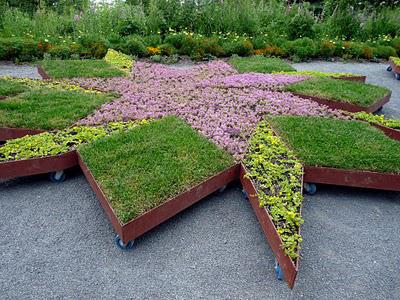 Visite au Festival de jardins de Métis