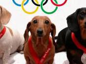 Soldes boutiques préférées Internautes