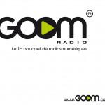 Ecouter la radio sur son iPad…