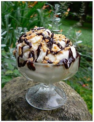 Crème glacée à la vanille