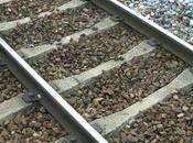 Créosote Charte d'engagements volontaires pour finir avec bois toxique