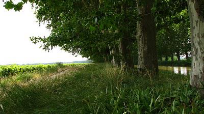 Canal du MidiEntre Béziers et Carcassonne