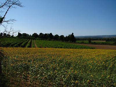 Canal du MidiAux Alentours de Carcassonne