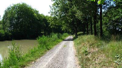 Canal du MidiAux Alentours de Carcassonne