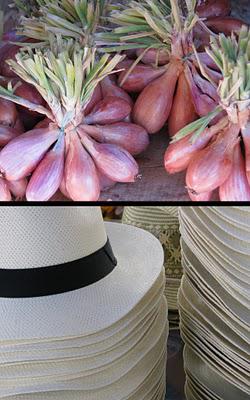 Toulouse ,  le panier de St Aubin