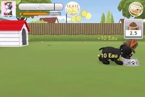 Touch Pets Dogs… App iPhone, iPod Touch, iPad V2.0
