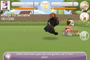 Touch Pets Dogs… App iPhone, iPod Touch, iPad V2.0