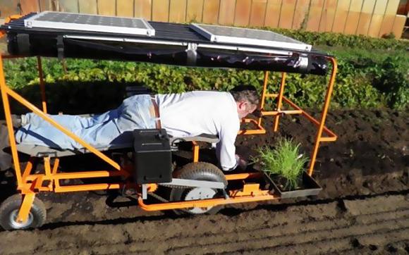 Exécuter des tâches dans le jardin avec les étrille Wunda.