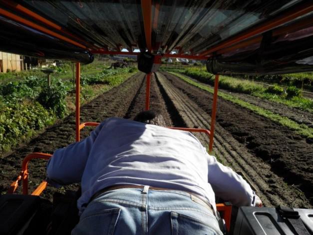 Exécuter des tâches dans le jardin avec les étrille Wunda.