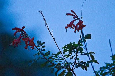 Un vrai dimanche d'automne