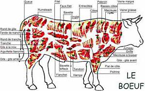boeuf-46484.jpg