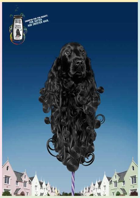 70+ publicités designs et créatives de Juillet 2010